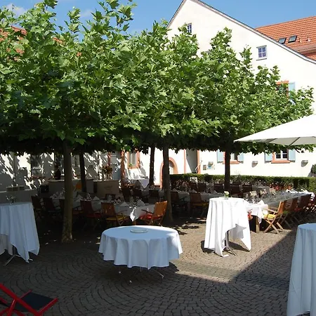 Zum Schwanen Mit Restaurant Mona Liza Hotel