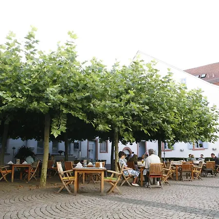 فندق Zum Schwanen Mit Restaurant Mona Liza