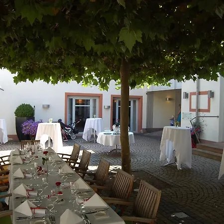Zum Schwanen Mit Restaurant Mona Liza Hotel 3*