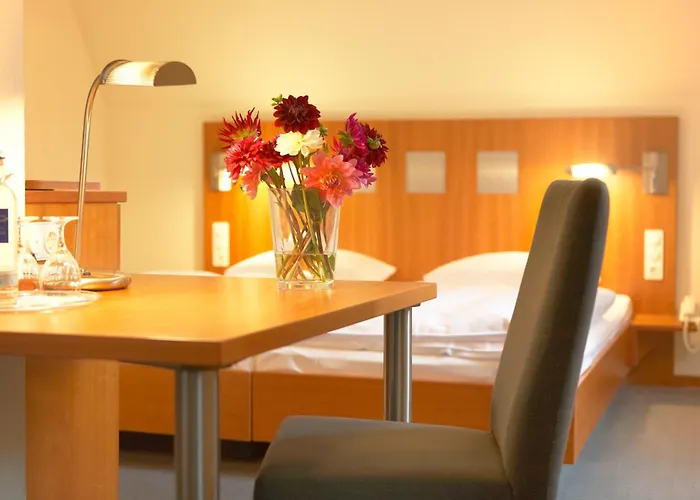 Hotell Zum Schwanen Mit Restaurant Mona Liza 3*