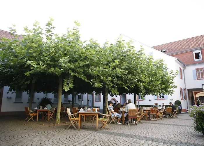 Hotell Zum Schwanen Mit Restaurant Mona Liza